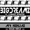 My Ninjaz (feat. Cassper Nyovest)(House Remix)