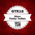 Miqro - Funky Indian