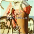 Joffrey Martinache - Shake It (Don't Break It)(Original Mix)