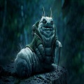 Creature