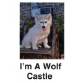 I'm a Wolf