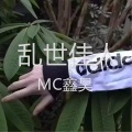 MC鑫昊 - 乱世佳人