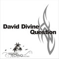 David Divine - Question (Original Mix)