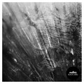 Luca Olivotto - Do You Remember? (Original Mix)