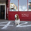 The Mispent - The Thought of You