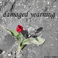 Damaged Yearning