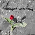 Wendy Ellison Mullen - Damaged Yearning