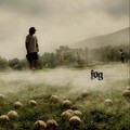 FOG - Heartbeats