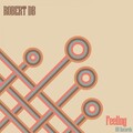 Robert DB - Feeling (Original Mix)