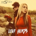 Destiny - Love Hurts