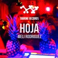 Meli Rodriguez - Hoja (Original Mix)