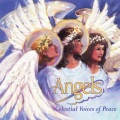 Voice Trek - Agnus Dei