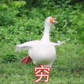 AKA大香蕉 - 穷