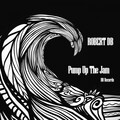 Robert DB - Pump Up The Jam (Original Mix)