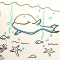 Beni the Whale