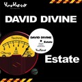 David Divine - Estate (Original Mix)