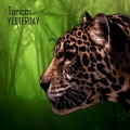 Toricos - Yesterday