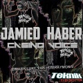 JamieD、Haber - Casino Voice (DMARK Remix)
