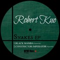 Robert Kuo - Black Mamba (Original Mix)