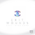 Exit Wounds (Original Mix)