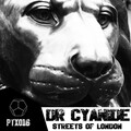 DR. Cyanide - Mind Storm (Original Mix)