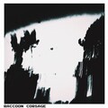 James Kelley - Pity Words