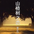 李少白 - 山楂树之恋