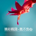 精彩啊良 - 我的王