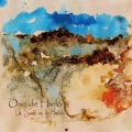 Oso de Hielo - Imagen