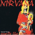 The Klone Orchestra - Smells Like Teen Spirit