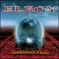 Elegy - Icehouse