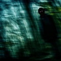 Bryson Teel - Links