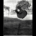 The Filth and Squalor Recordings