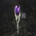 미리별 - 너는 나의 봄이다