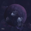 Bulp - Bluma