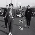 张凯 - 走过的路