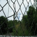 Out My Door (Closed Doors)