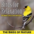 Birds of nature - Horned Lark