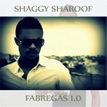 Dj Lewis、Shaggy Sharoof - Sans Guebe (feat. DJ Lewis)