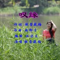傲雪藏梅 - 叹缘