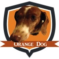 Orange Dog - Ain't That Something