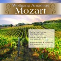 Various Artists、Friedemann Rieger、Nora Chastain、Wolfgang Amadeus Mozart - Sonata for Violin and Piano in C Major, K.296: II. Andante sostenuto