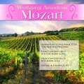 Carmen Piazzini、michail gantvarg、Wolfgang Amadeus Mozart、Various Artists - Piano Concerto No.16 in D Major, K.451 III. Rondeau, Allegro