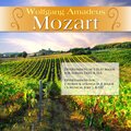 Wolfgang Amadeus Mozart、Various Artists、Capella Istropolitana - Divertimento for 2 horns & strings in F Major (