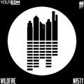 Wildfire - Nasty (Original Mix)