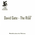 David Gate----[replace by 72022] - The Rise (Original Mix)