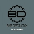 Bass Destruction - Amazing (Original Mix)