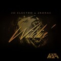 2D Electro、2kdrae - Wildin' (Original Mix)