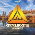 Accurate - Lower Level (Radio Edit)