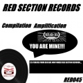 Amplification